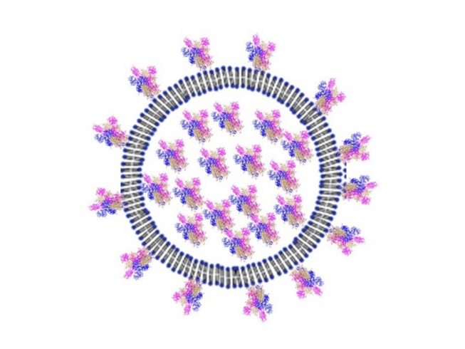 Covid-19 vaccine particle